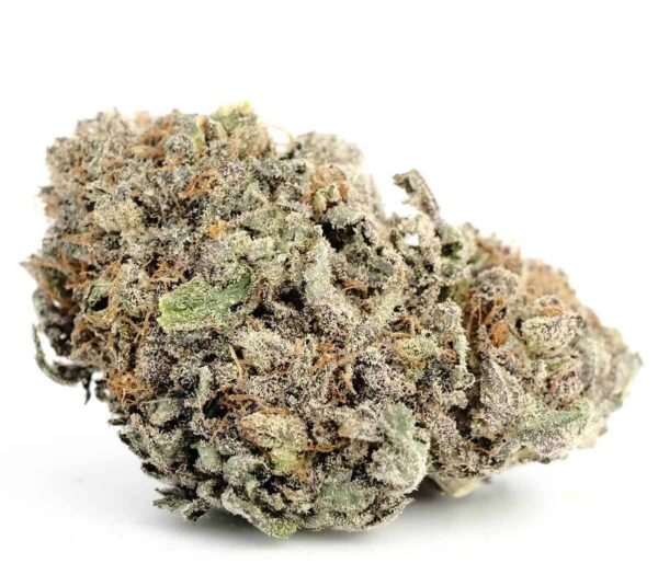 Blackberry Kush Marijuana Strain EU