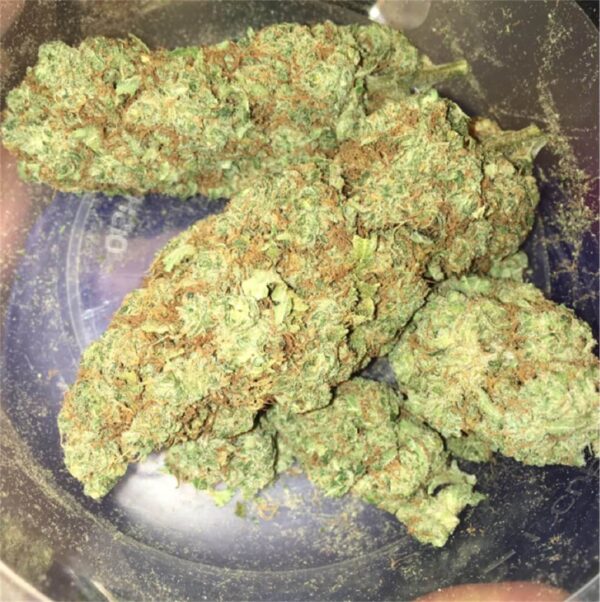 Bruce Banner #3 Marijuana Strain