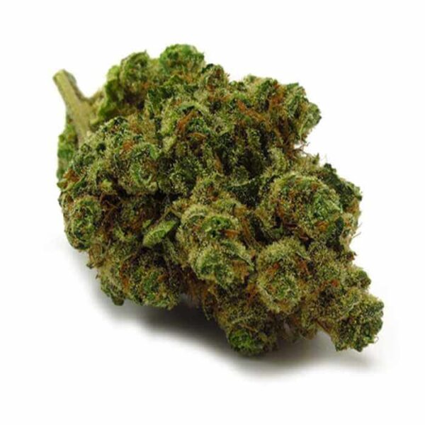 Chiquita Banana Marijuana Strain EU