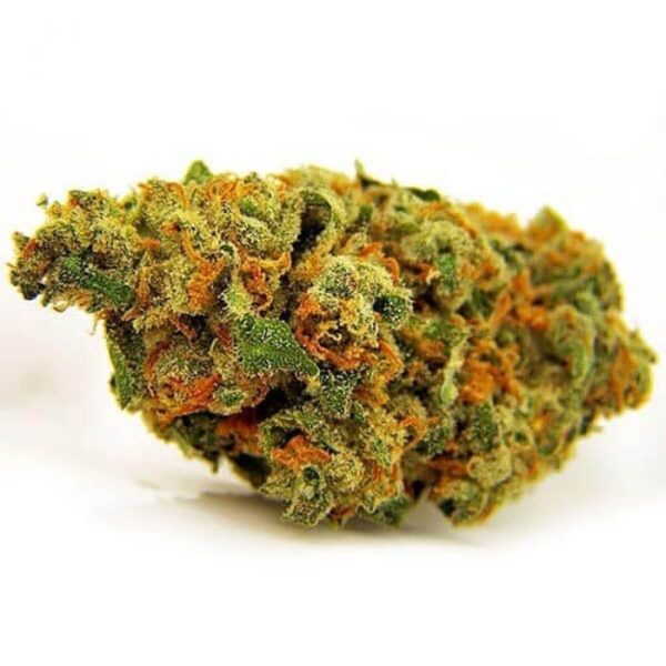 Jack Herer Marijuana Strain EU