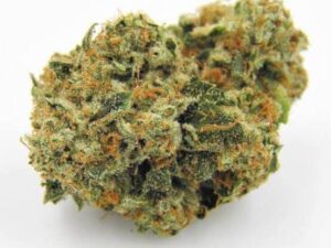 Kosher Kush Marijuana Strain EU