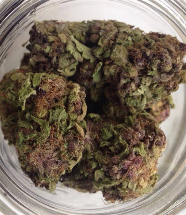 Purple Rhino Cannabis Strain