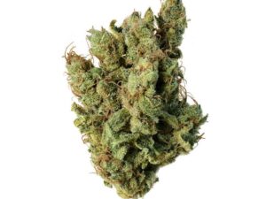 Super Silver Haze Marijuana Strain