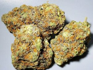 White Guava Cannabis Strain