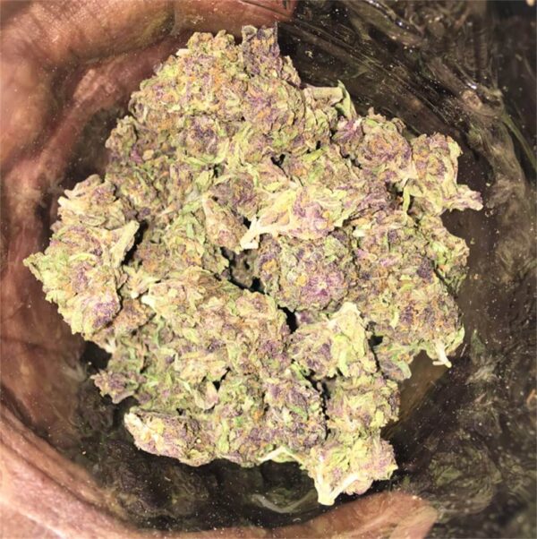 Afghan Purple Kush Cannabis Strain