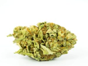 Blueberry Cough Weed Strain EU