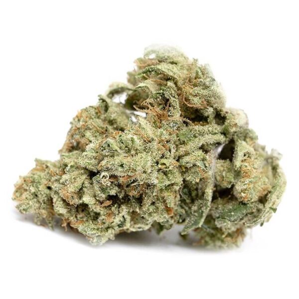 Hawaiian Snow Weed Strain