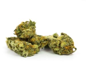 Jamaican Cannabis Strain