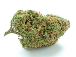 Lionheart Cannabis Strain