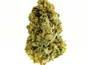 Magnificent Mile Weed Strain