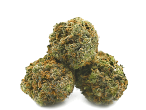 Pine Kush Cannabis Strain