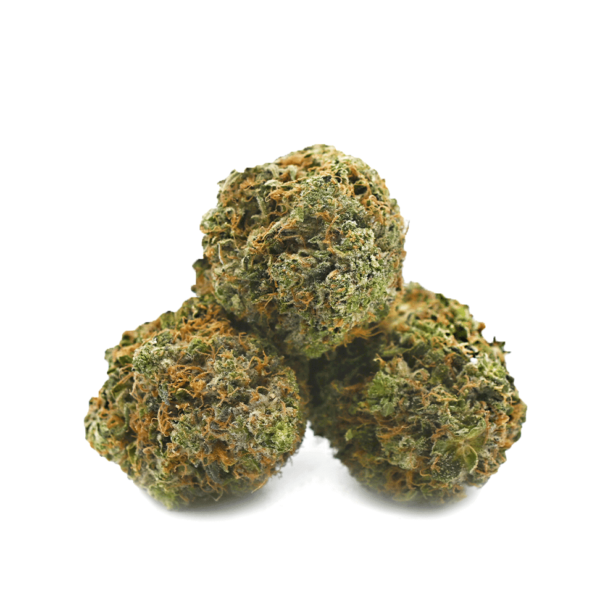 Pine Kush Cannabis Strain