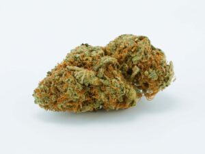 Punta Rosa Cannabis Strain