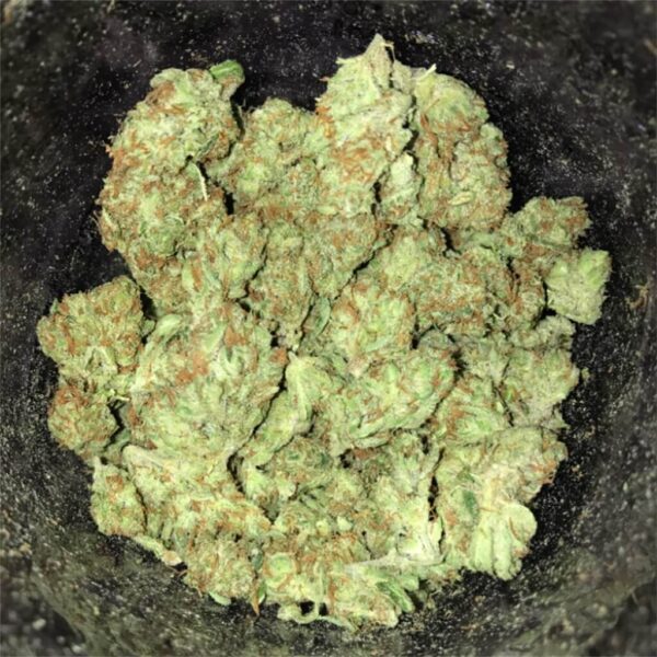 Razzleberry Kush Weed Strain