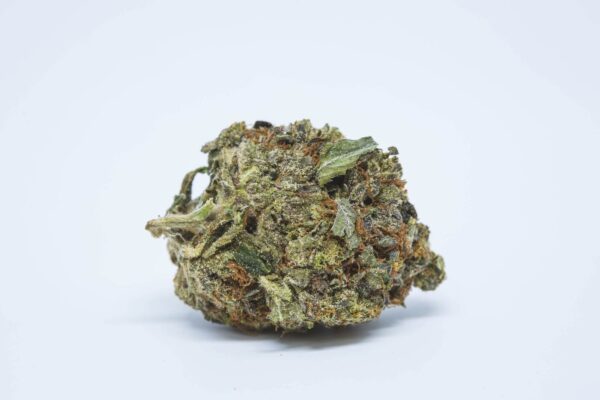 Shiva Skunk Cannabis Strain EU